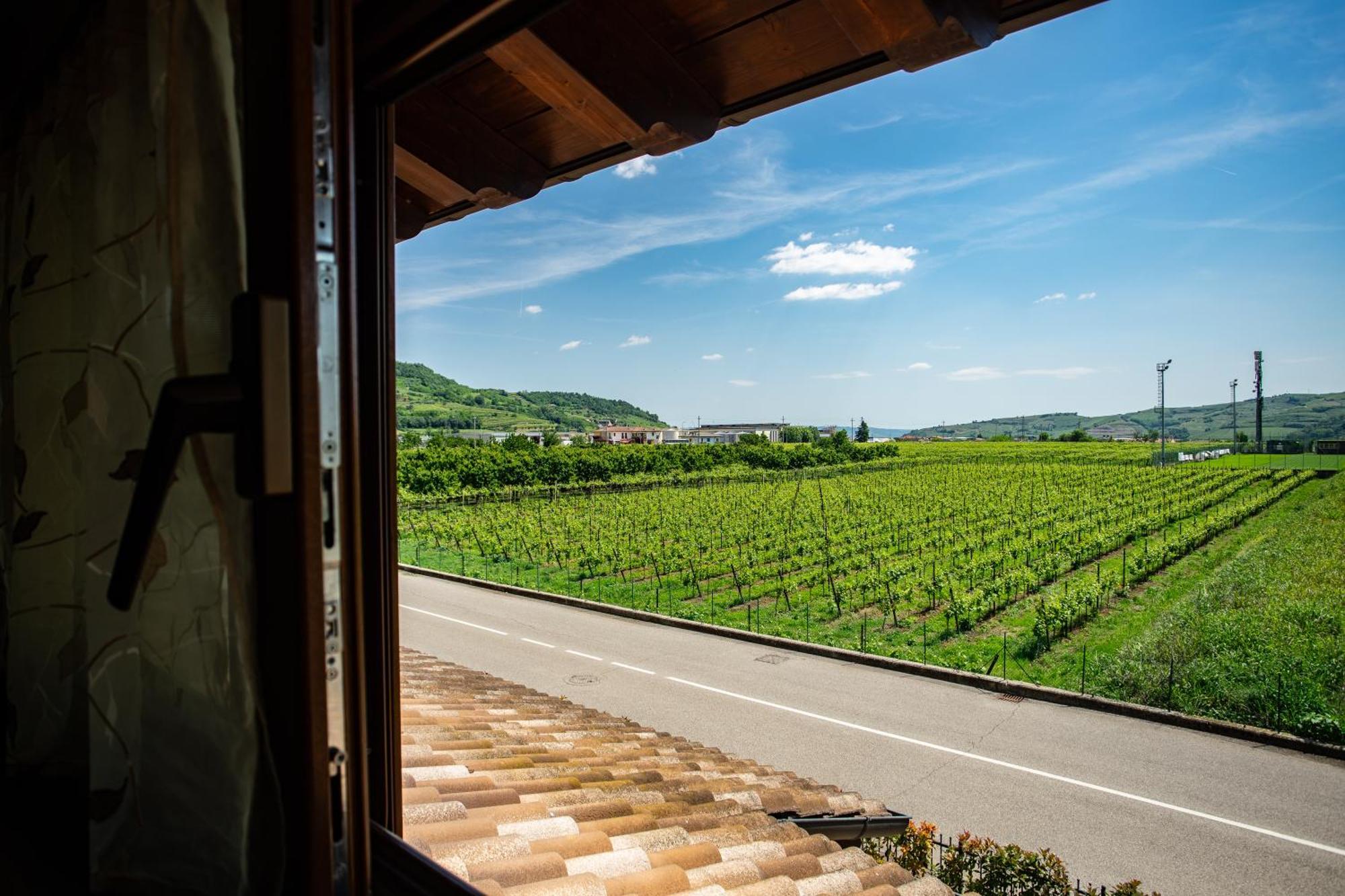 Casa Oliver Montecchia di Crosara Værelse billede